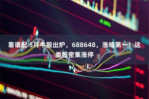 靠谱配 5月牛股出炉，688648，涨幅第一！这类股密集涨停