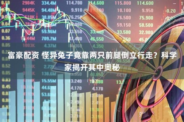 富豪配资 怪异兔子竟靠两只前腿倒立行走？科学家揭开其中奥秘