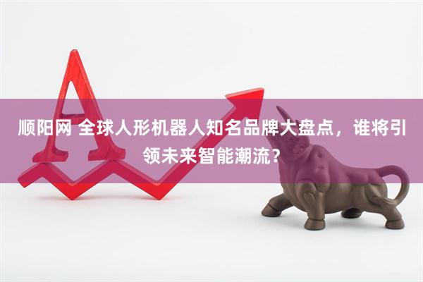 顺阳网 全球人形机器人知名品牌大盘点，谁将引领未来智能潮流？