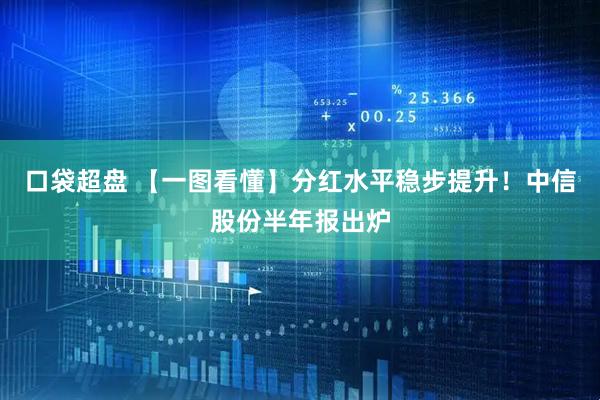 口袋超盘 【一图看懂】分红水平稳步提升！中信股份半年报出炉
