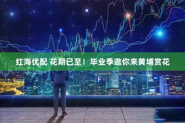 红海优配 花期已至！毕业季邀你来黄埔赏花